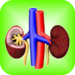 Kidney Diseases