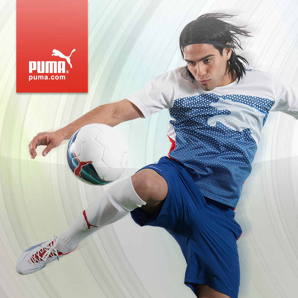 falcao puma